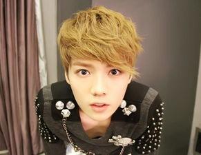 明星脏辫爆料视频下载安装,视频下载安装背后的时尚潮流  第2张